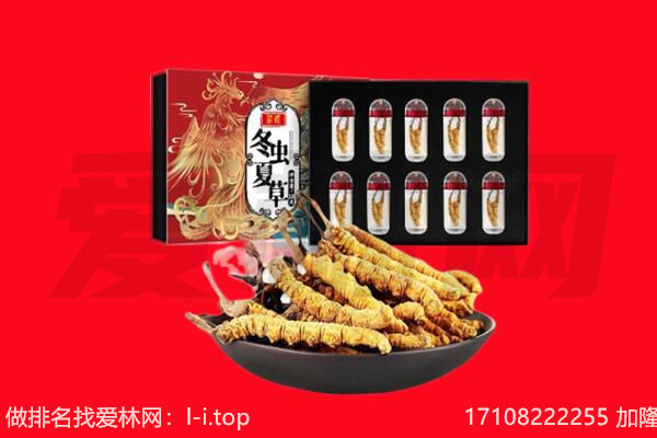 昆明西山区回收虫草.jpg